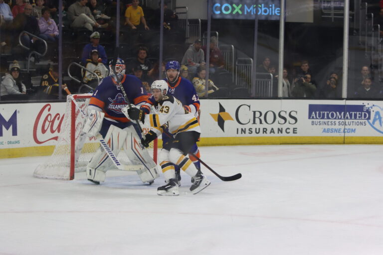 Dans Ločmelis, hokejazinas.com