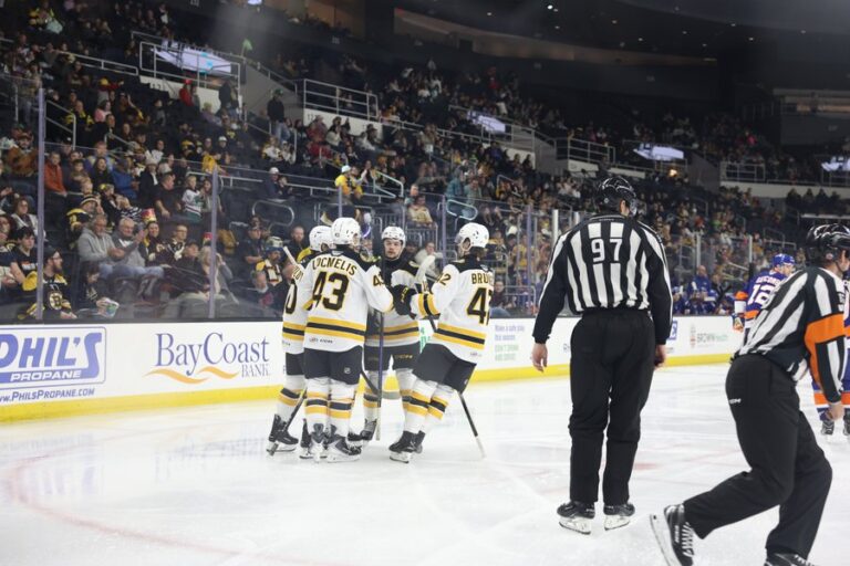 Dans Ločmelis, hokejazinas.com