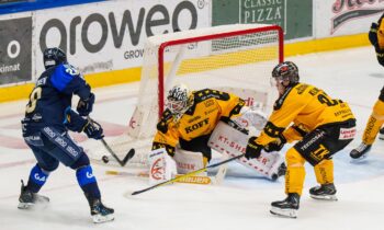 Gustavs Dāvis Grigals, Hokejazinas.com