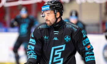 Haralds Egle, Hokejazinas.com