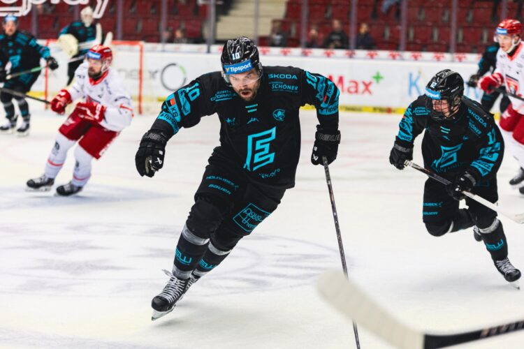 Haralds Egle, Hokejazinas.com