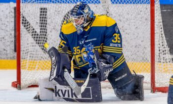 Jānis Fecers, Hokejazinas.com