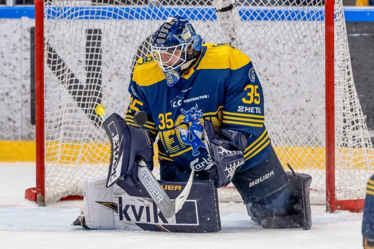 Jānis Fecers, Hokejazinas.com