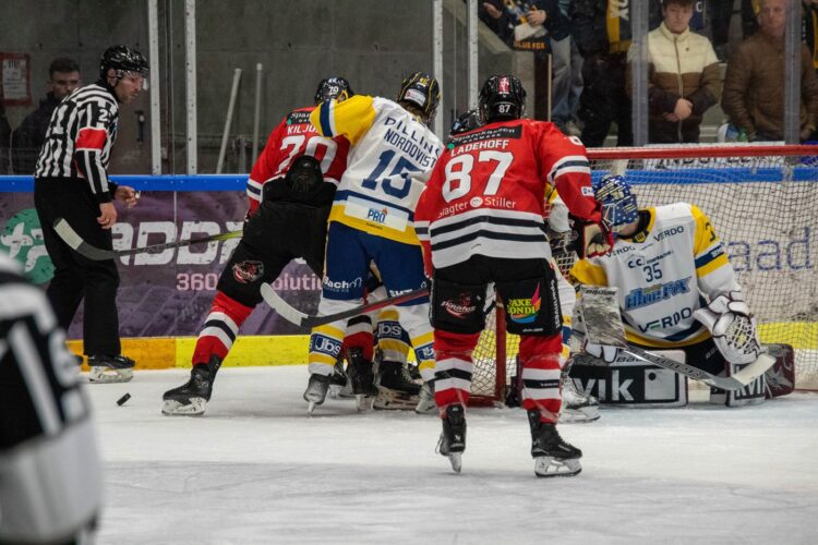 Jānis Fecers, Hokejazinas.com