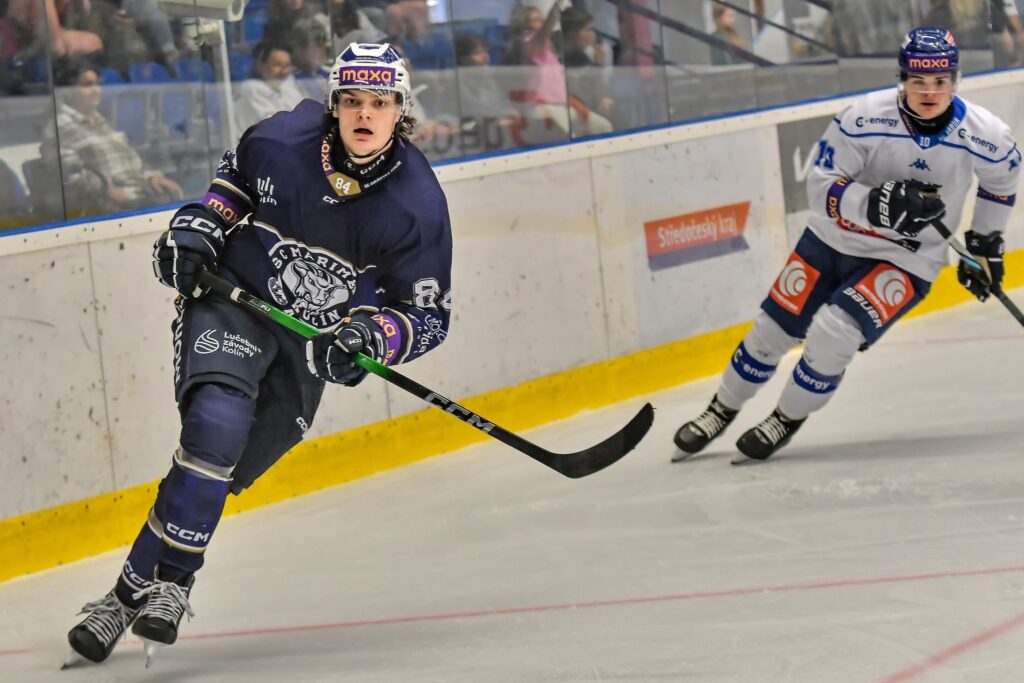 Kristers Zvagulis, hokejazinas.com