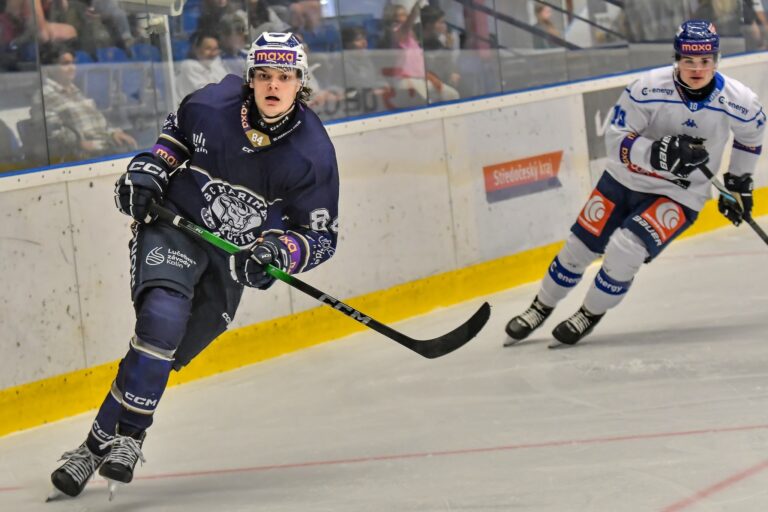 Kristers Zvagulis, hokejazinas.com