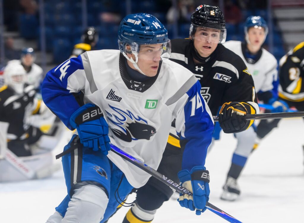 Olivers Mūrnieks, hokejazinas.com