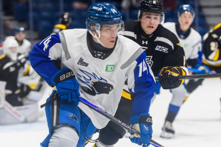 Olivers Mūrnieks, hokejazinas.com