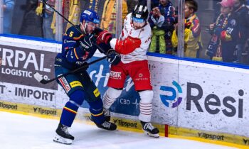 Renārs Krastenbergs, Hokejazinas.com