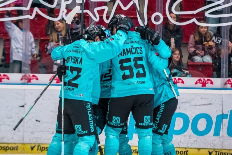 Roberts Mamčics, Hokejazinas.com