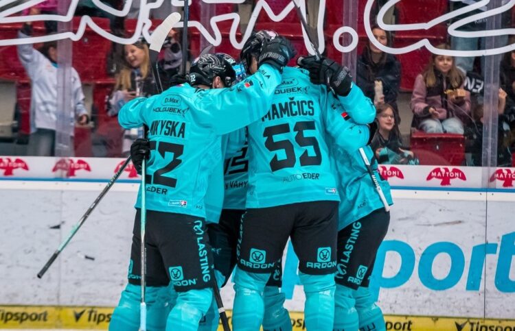 Roberts Mamčics, Hokejazinas.com