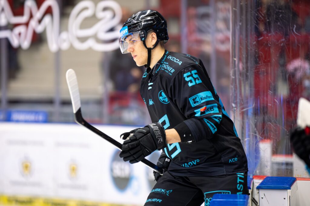 Roberts Mamčics, Hokejazinas.com