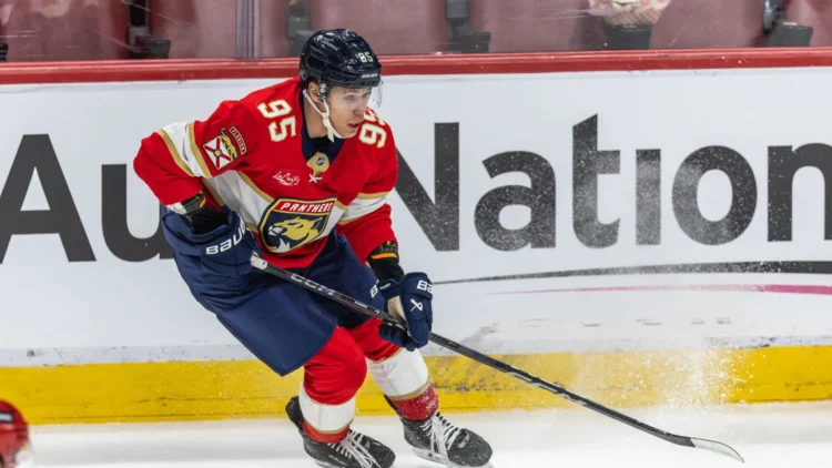 Sandis Vilmanis, hokejazinas.com