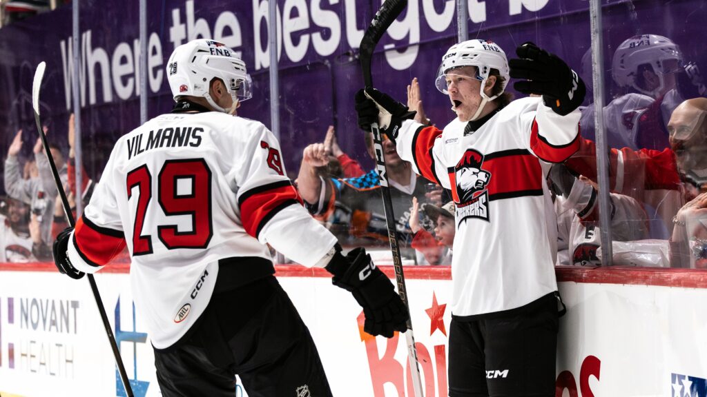 Sandis Vilmanis, hokejazinas.com