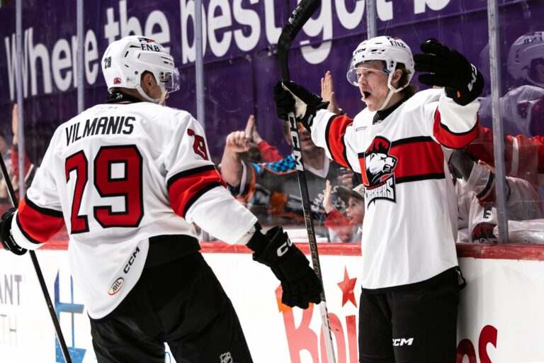 Sandis Vilmanis, hokejazinas.com