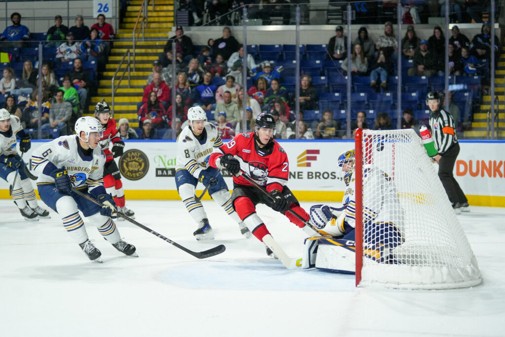 Sandis Vilmanis, hokejazinas.com