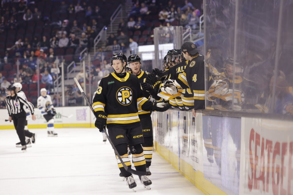 Dans Ločmelis, hokejazinas.com