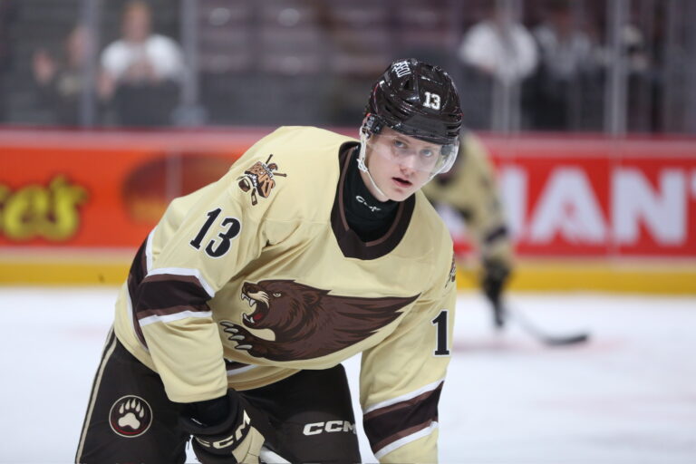 Ēriks Mateiko, hokejazinas.com