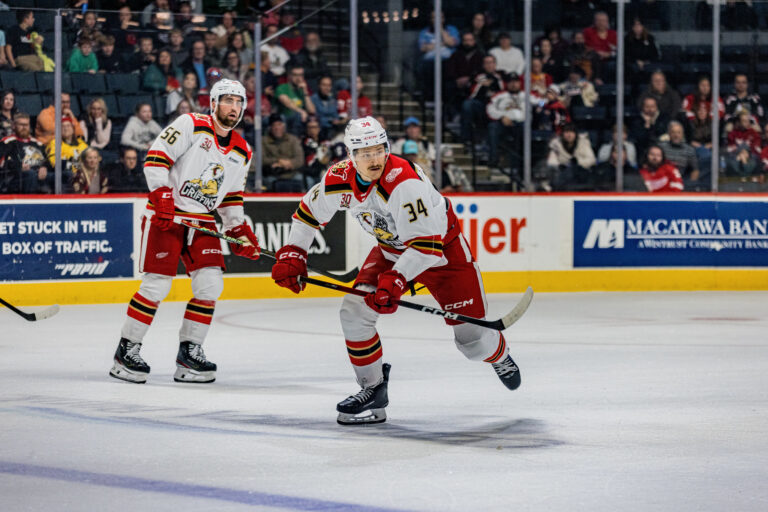 Eduards Tralmaks, hokejazinas.com