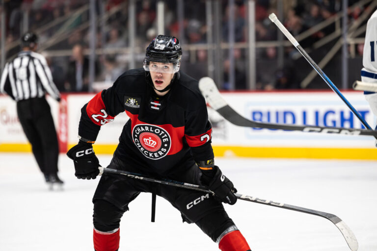 Sandis Vilmanis, hokejazinas.com