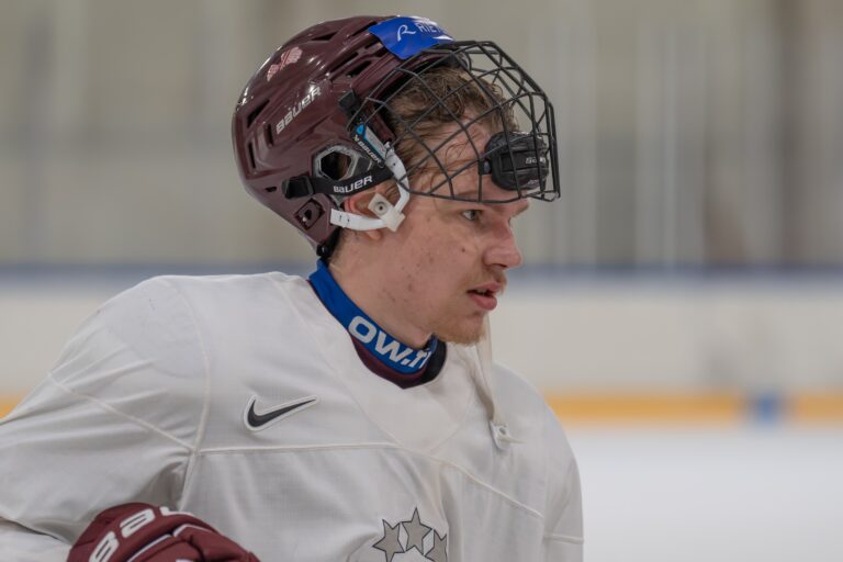 Alberts Šmits, hokejazinas.com