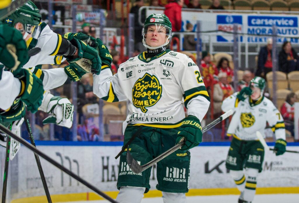 Bruno Osmanis, hokejazinas.com