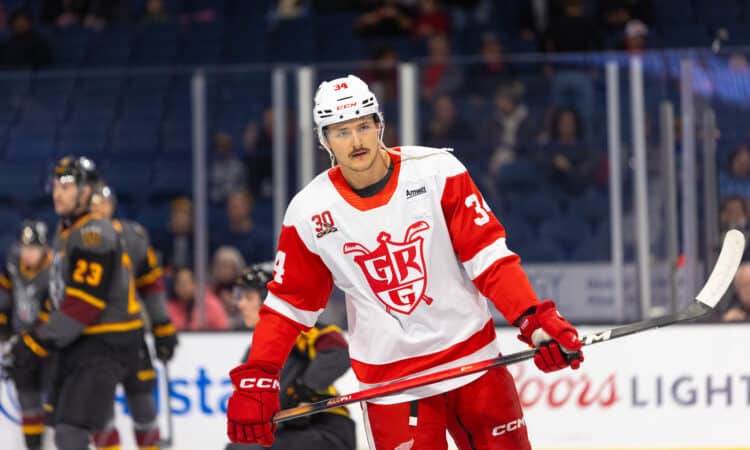 Eduards Tralmaks, hokejazinas.com