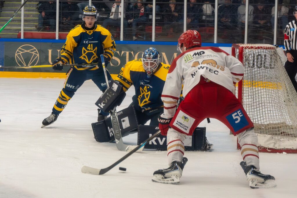 Georgs Golovkovs, Hokejazinas.com