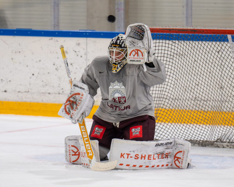 Gustavs Dāvis Grigals, Hokejazinas.com