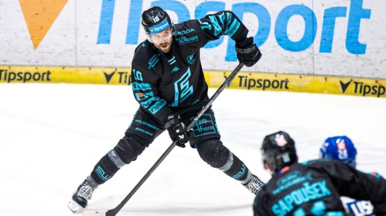 Haralds Egle, Hokejazinas.com