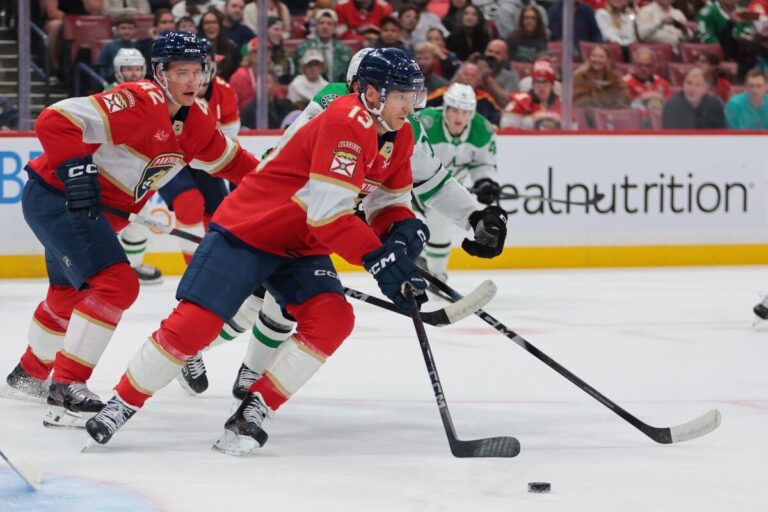 Sems Reinhārts, hokejazinas.com