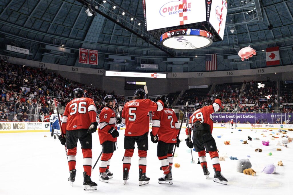 Sandis Vilmanis, hokejazinas.com