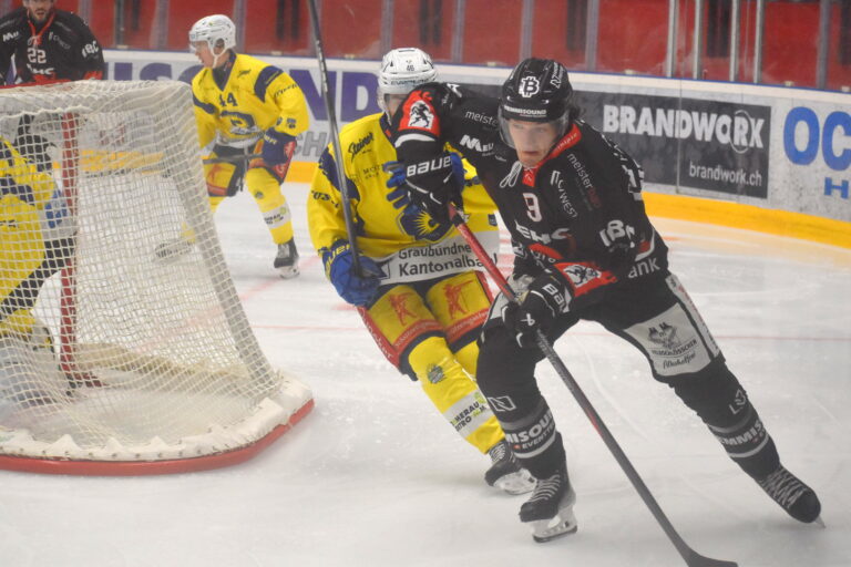 Rihards Melnalksnis, Hokejazinas.com