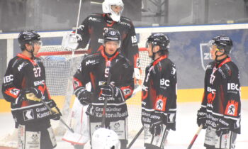 Rihards Melnalksnis, Hokejazinas.com