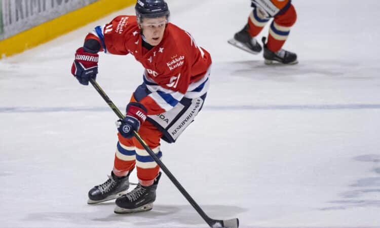 Valdis Dommers, Hokejazinas.com