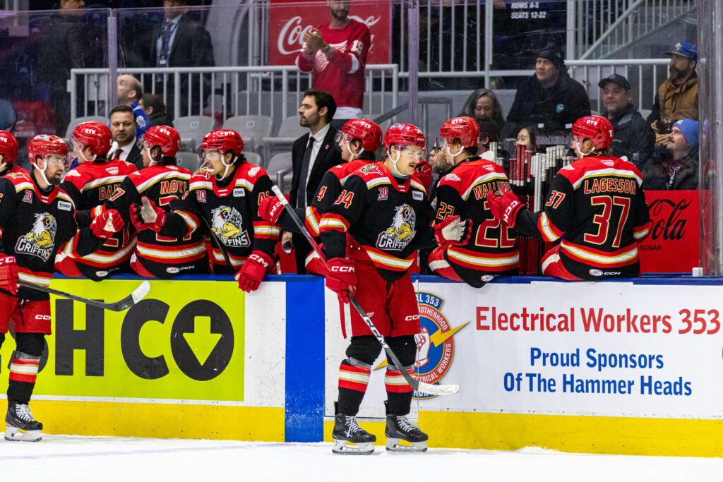 Eduards Tralmaks, hokejazinas.com