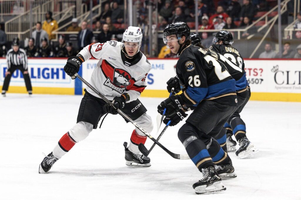 Sandis Vilmanis, hokejazinas.com