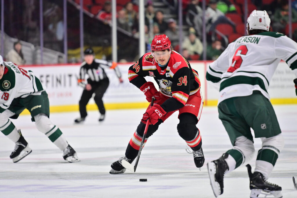 Eduards Tralmaks, hokejazinas.com