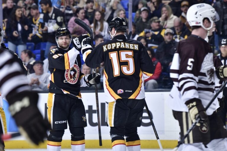 Raivis Ansons, hokejazinas.com