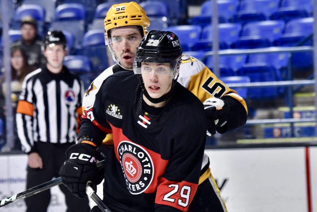 Sandis Vilmanis, hokejazinas.com