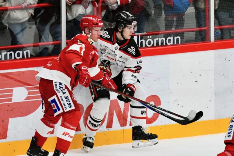 Arvils Bergmanis, hokejazinas.com