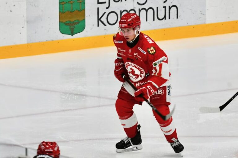 Arvils Bergmanis, hokejazinas.com