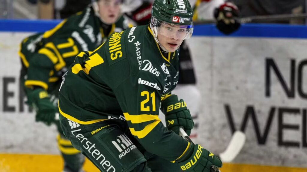 Bruno Osmanis, hokejazinas.com