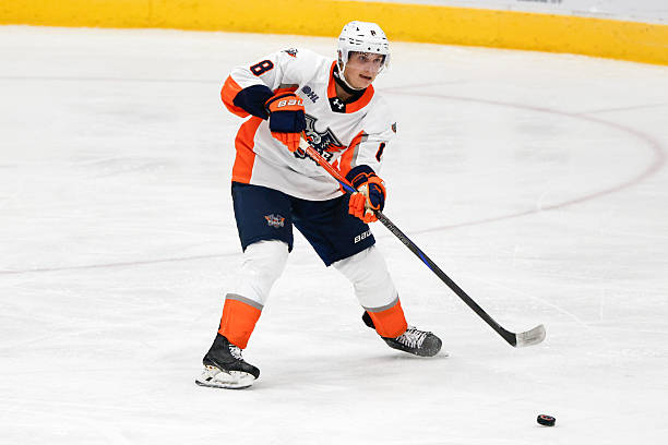 Darels Uļjanskis, hokejazinas.com