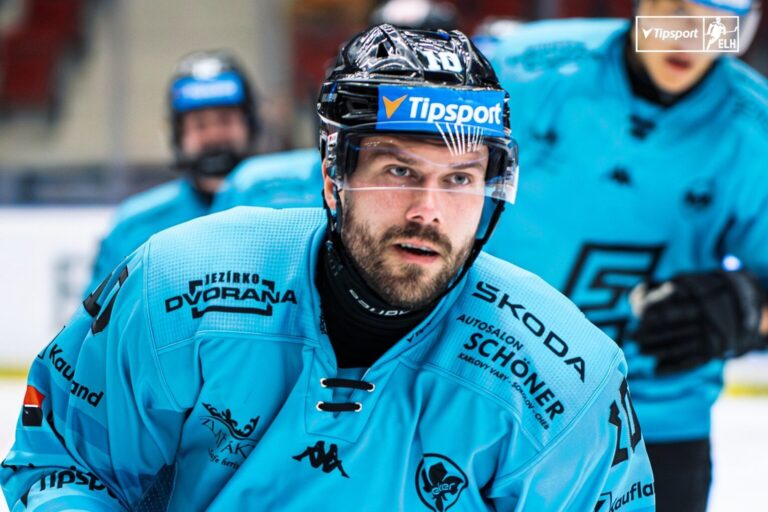 Haralds Egle, Hokejazinas.com