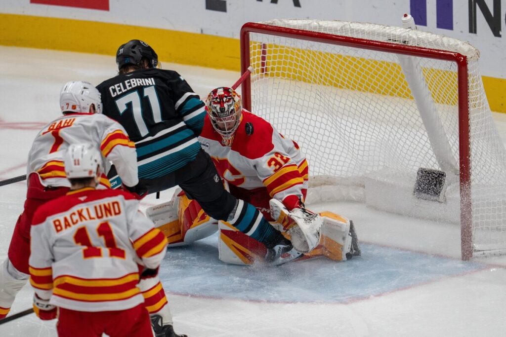 Maklins Selebrini, hokejazinas.com