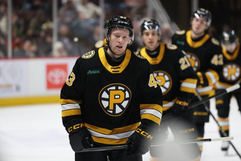 Dans Ločmelis, hokejazinas.com