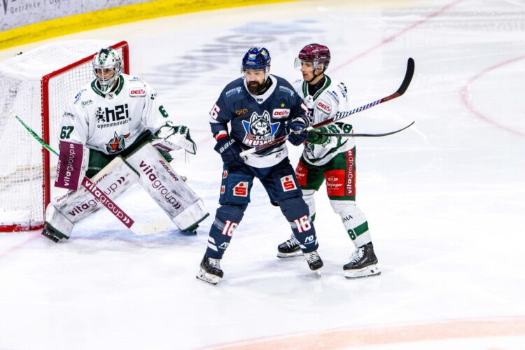 Kaspars Daugaviņš, Hokejazinas.com