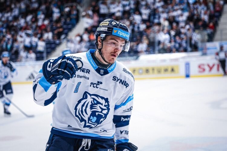 Kristaps Zīle, hokejazinas.com