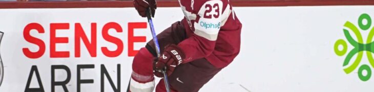 Alberts Šmits, hokejazinas.com